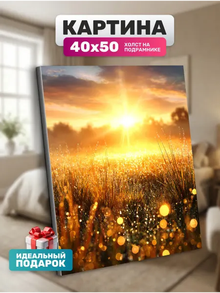 Diamond pixel Картина на стену Лучи солнца 40х50 см