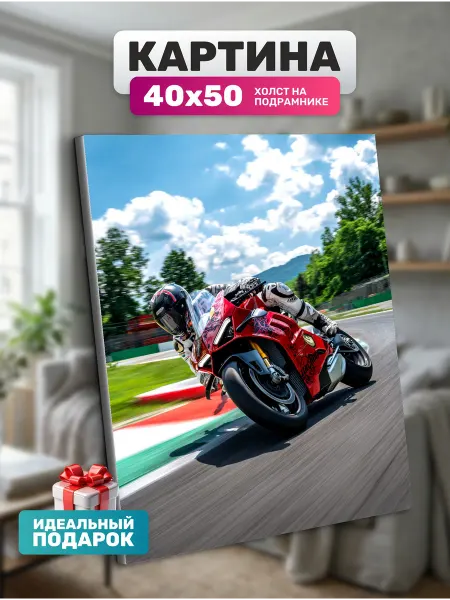 Diamond pixel Картина на холсте Мотоциклист 40х50