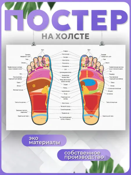 POSTERNAK Постер Рефлекторные зоны стопы Анатомия человека 40х60 см