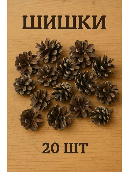 20 шт Шишки для поделок и рукоделия несортированные