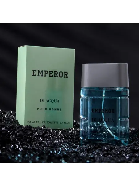 Today parfum Туалетная вода мужская по мотивам Acqua Di Gio