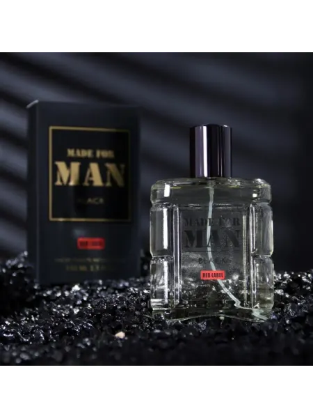 Delta PARFUM Туалетная вода мужская 100 мл аромат Man in Black