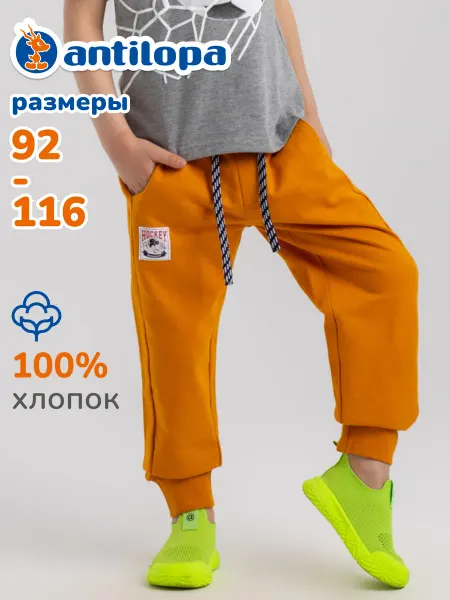 Antilopa Джоггеры спортивные детские утепленные с начесом
