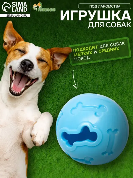 Пижон Игрушка для собак "Мяч с лакомствами" 7 см голубой