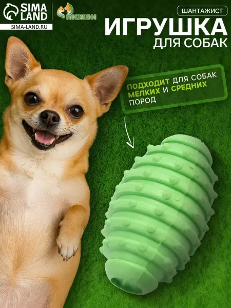 Yamle Жевательная игрушка для собак, 10 см, TPR, зелёная