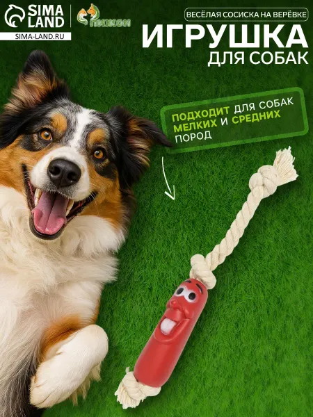 Market_ZOO Игрушка "Весёлая сосиска на верёвке" для собак, 14 см