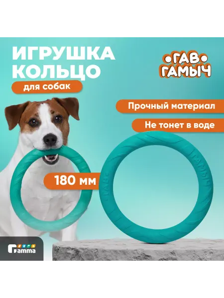 GAMMA Игрушка для собак кольцо, 18см