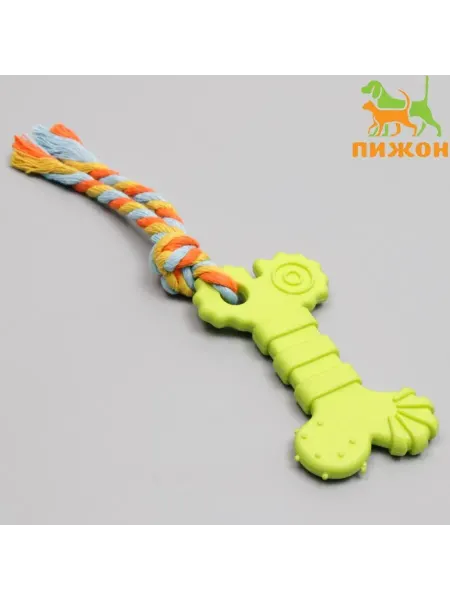 Пижон Жевательная игрушка с канатом "Кость с хвостом", зелёная, 2