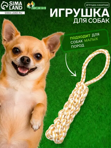 Пижон Канатная игрушка для собак с ручкой, 23 см