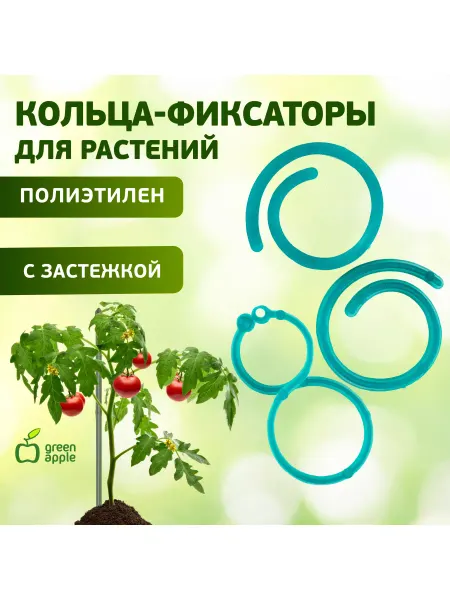 Green Apple Кольцо фиксатор цепочка