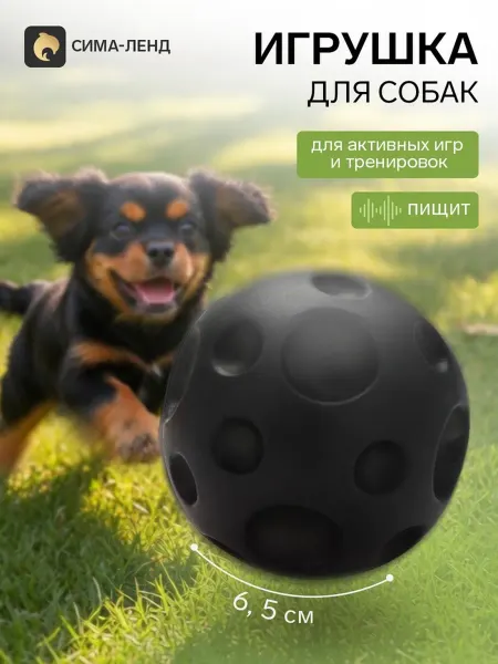 ПУШИСТОЕ СЧАСТЬЕ Игрушка для собак мячик с пищалкой черный 6,5 см