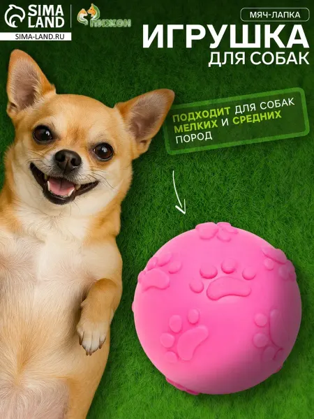 Пижон Игрушка для собак Мячик лапка TPR розовый 6 см