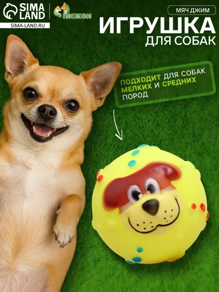 Пижон Пищащий виниловый мяч для собак, 6 см, жёлтый, 2 шт