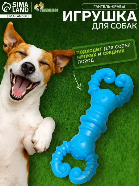 My Sweet Home Резиновая игрушка для собак "Гантель-крабы", голубая, 2 шт