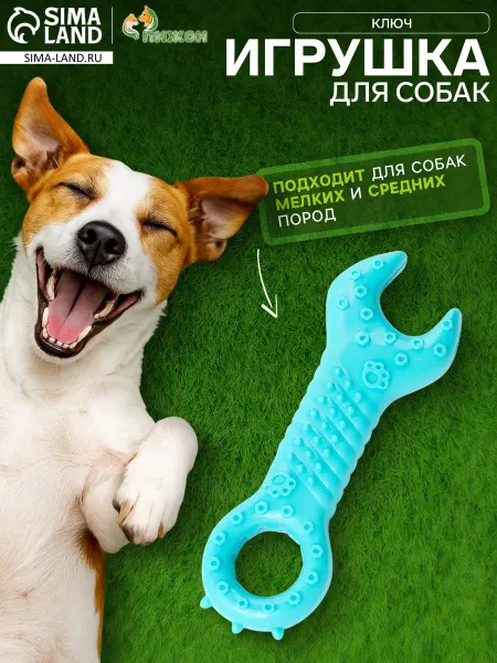 Market_Игрушки для животных Игрушка для собак