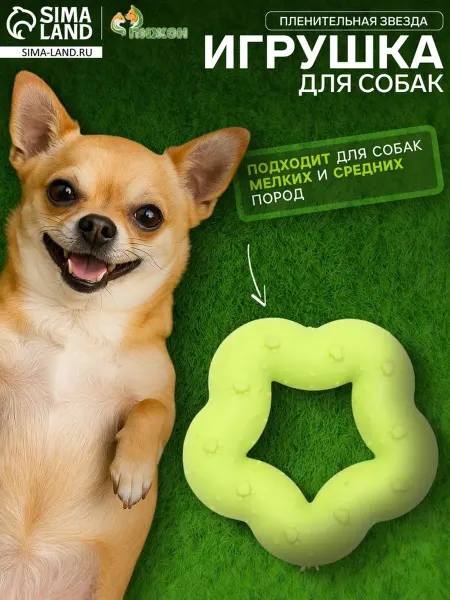 SOLNARIS Жевательная игрушка для собак "Пленительная звезда" жёлтая