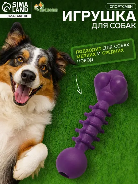 Пижон Жевательная игрушка для животных Спортсмен фиолетовая