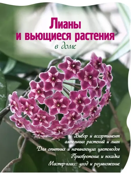 Эксмо Лианы и вьющиеся растения в доме