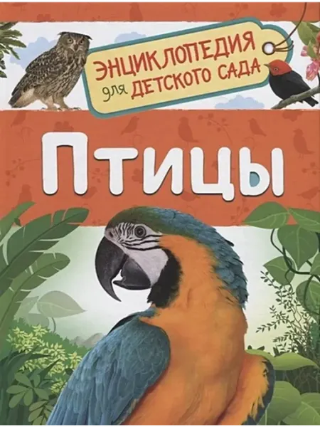 РОСМЭН Птицы