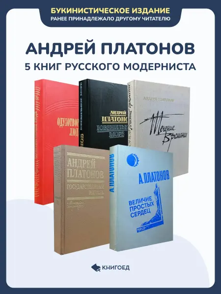 Книгоед Андрей Платонов - основы модернизма в 5 книгах