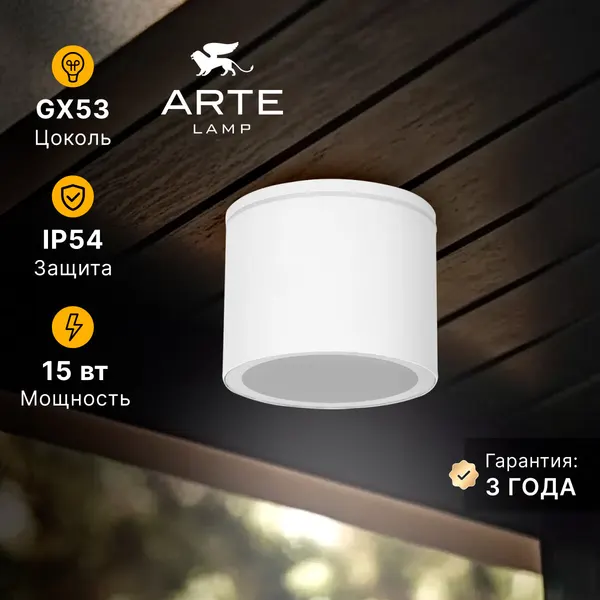 Arte Lamp Уличный потолочный светильник PIAUTOS A1913PF-1WH