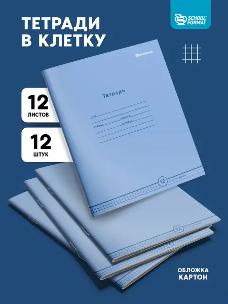 Schoolformat Тетради в клетку 12 листов набор 12 штук голубые школьные