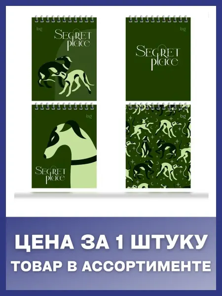 BG Блокнот А6 60л клетка гребень Secret place ассорти, 1 шт