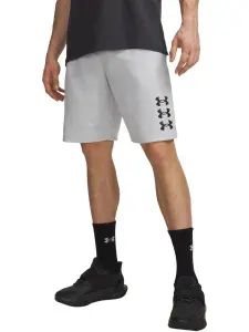 Шорты Under Armour UA Next Gen Short