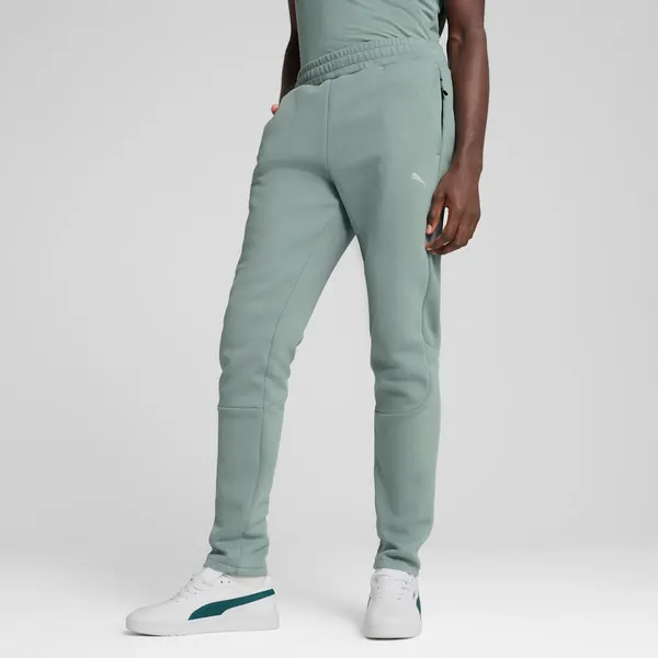 PUMAБрюки спортивные EVOSTRIPE