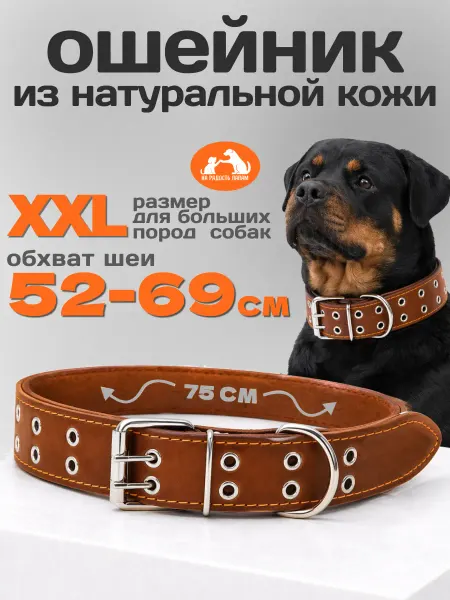 Ошейник для собак кожаный, для крупных пород, ширина 4.5 см