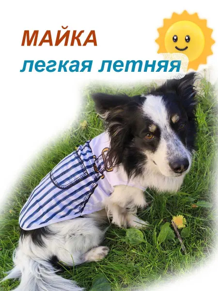 Dog-60 Майка летняя для собак и кошек