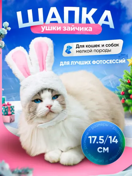 QuisLife Шапка для собак и кошек