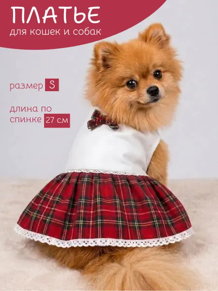 Rich&Bon Платье для кошек и собак мелких пород лето