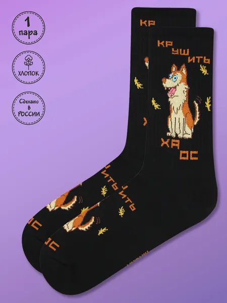 KingkitНоски