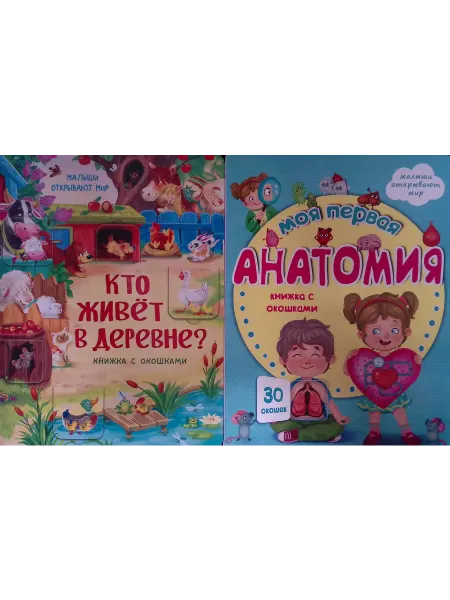 БимБиМон Книжка с окошками. Кто живет в деревне? Моя первая анатомия