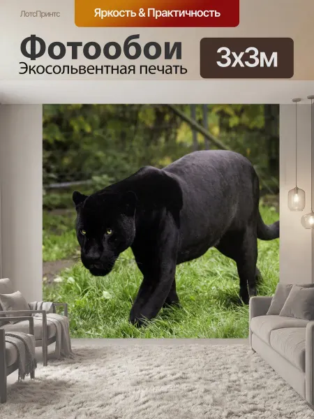 LotsPrints Фотообои "Пантера Прогулка по Черной Пантере." 3x3м