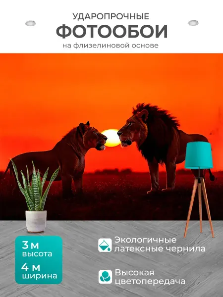LotsPrints Фотообои "Лев с львицей наблюдают за закатом, их." 4x3м