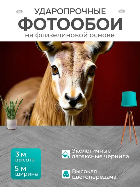 LotsPrints Фотообои "Животные в стиле барокко" 5x3м