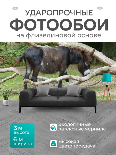 LotsPrints Фотообои "Животное, зоопарк, тиргартен" 6x3м