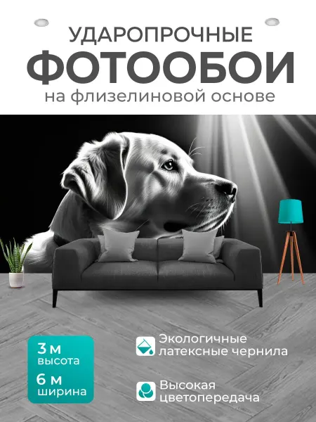 LotsPrints Фотообои "С собакой чернобелый" 6x3м