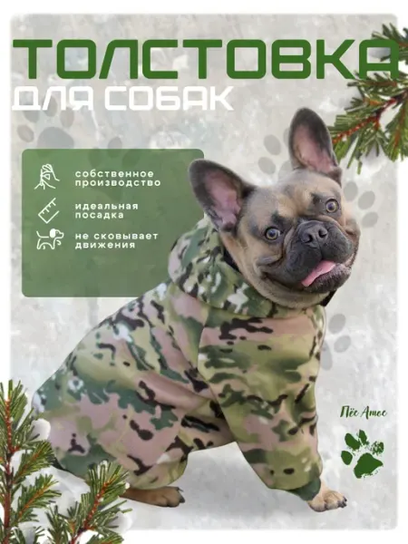 Пес Атос Толстовка для собак