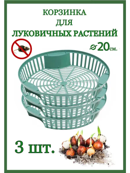 У ДАЧА Корзина для луковичных растений