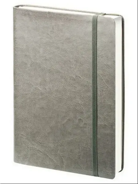 Ежедневник недатир. Infolio Elegance Тв, 140x200, 320стр