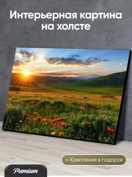 Modulka Картина на холсте Цветочный луг в горах на закате арт