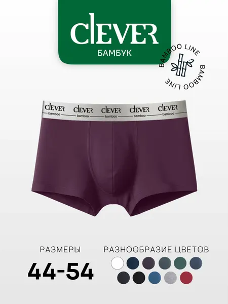 CLEVERТрусы мужские бамбук