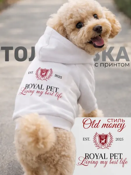 Толстовка худи для животных с принтом в стиле old money