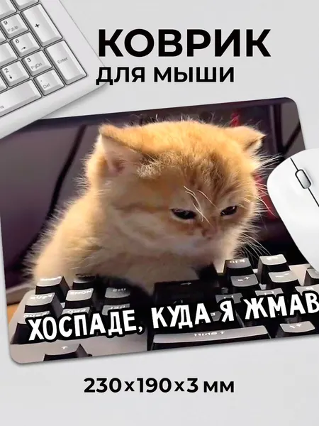 Коврик для мышки Прикол мем с милым котиком Хоспаде куда я жмав, на нескользящем резиновом основании 230x190x3 мм