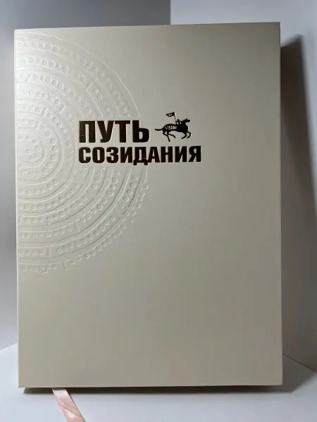 Бичик Путь созидания. Колодезникова Книга б у (Состояние!)