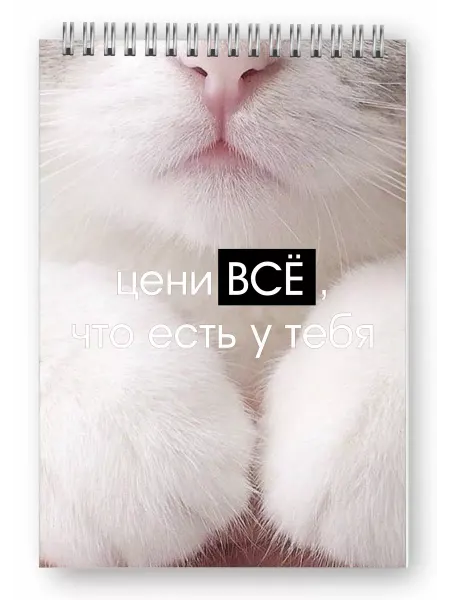 Балыбердин М.А. Блокнот для школы кот