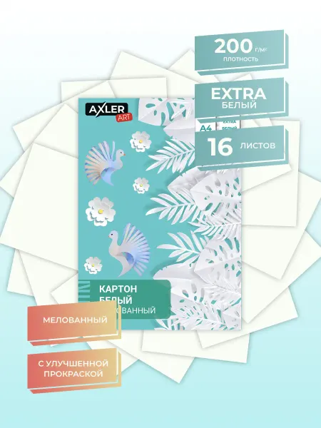 AXLER Картон белый для школы двусторонний глянцевый и матовый А4